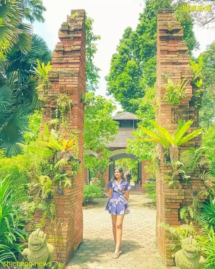 盘点新加坡异国风自然美景📷一分钱也不用花,带你在本地畅游世界😱OOTD美照拍起来