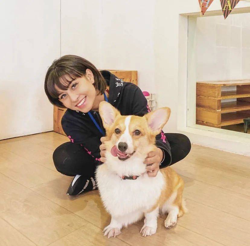 治愈系的它看一眼就愛不釋手！新加坡撸貓撸狗地圖來咯