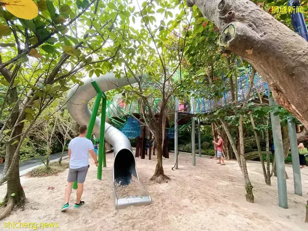 收藏！23米超長滑梯、特色樹屋、斜坡攀岩，新加坡28個超棒戶外遊樂場免費等你來打卡