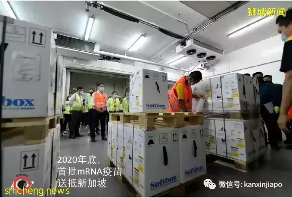 李显龙:太平洋国家比美国更为尊重中国抗疫做法