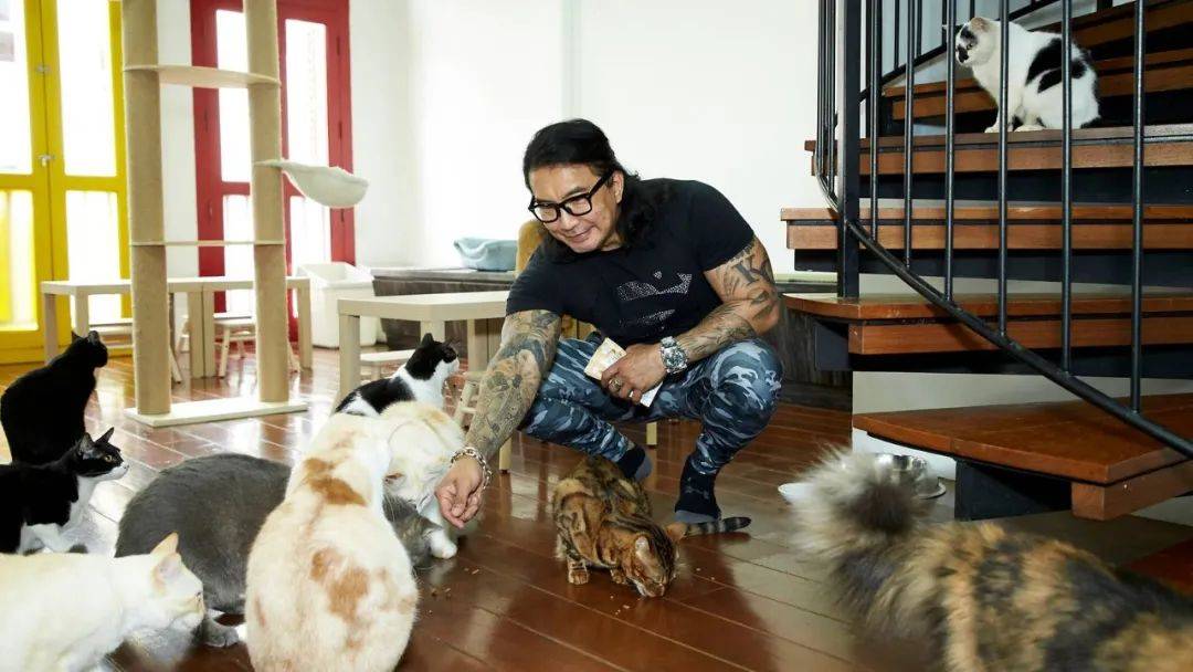 假期撸貓撸狗好去處！新加坡超治愈寵物咖啡店盤點