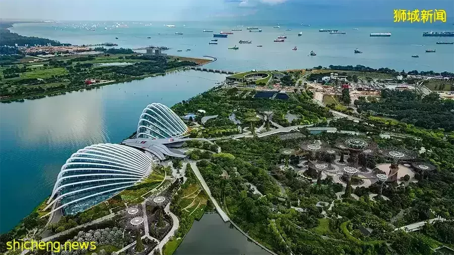 移民后，新加坡房屋委托书的公证认证有哪些步骤