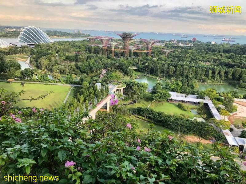 新加坡留學優勢及費用!