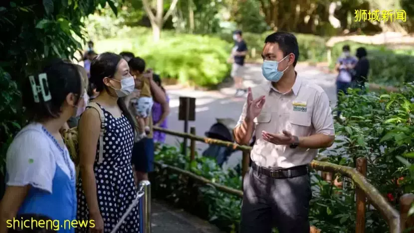 最新研究：與動物一起工作可增強員工同情心