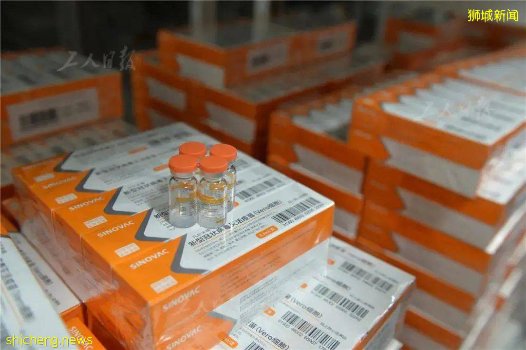 新加坡衛生科學局發布疫苗安全檢測,547萬劑疫苗接種僅0.12%存在不良反應