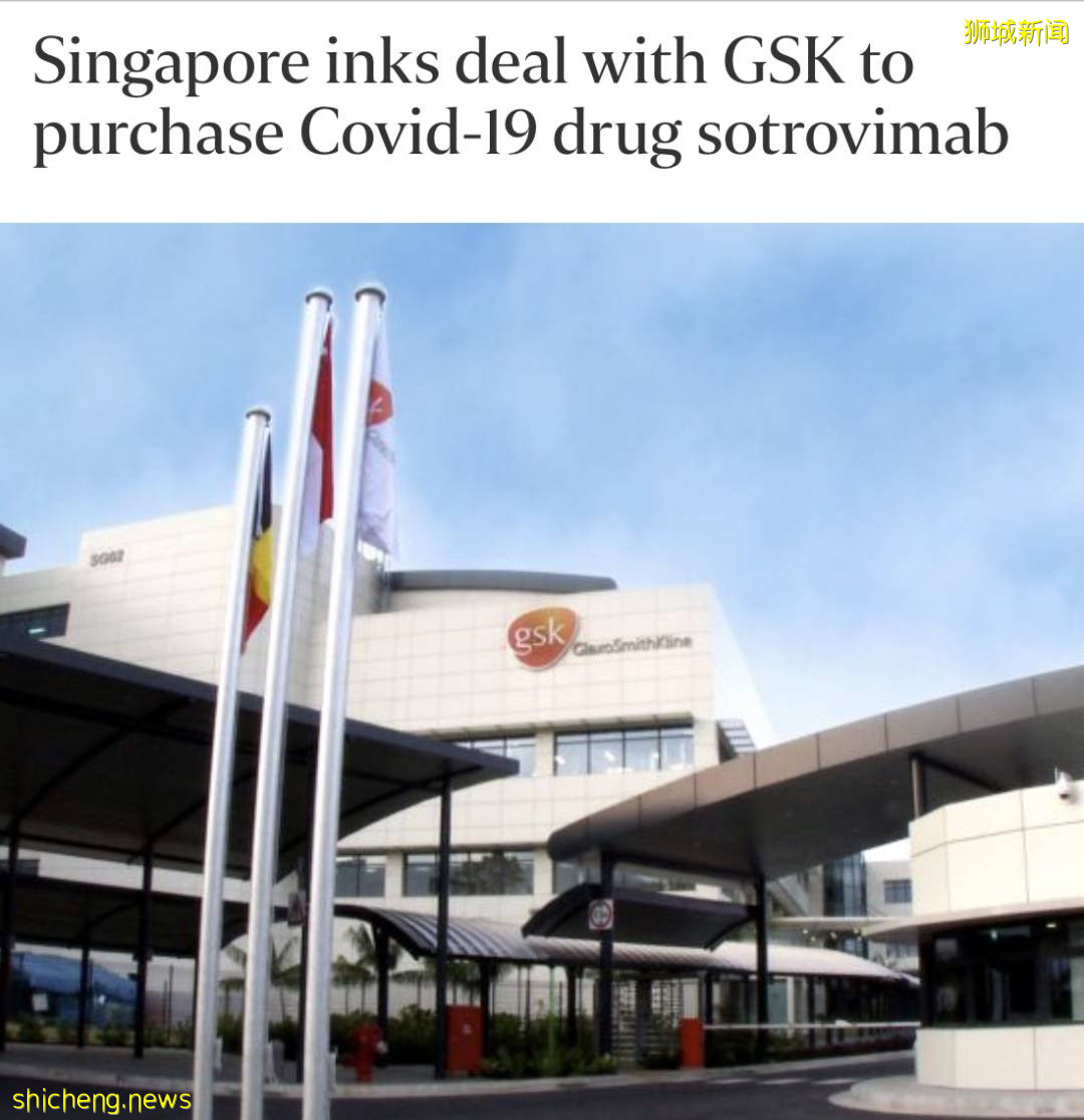 新加坡不再公布到訪地!已買首款新冠藥物,可治變異病毒