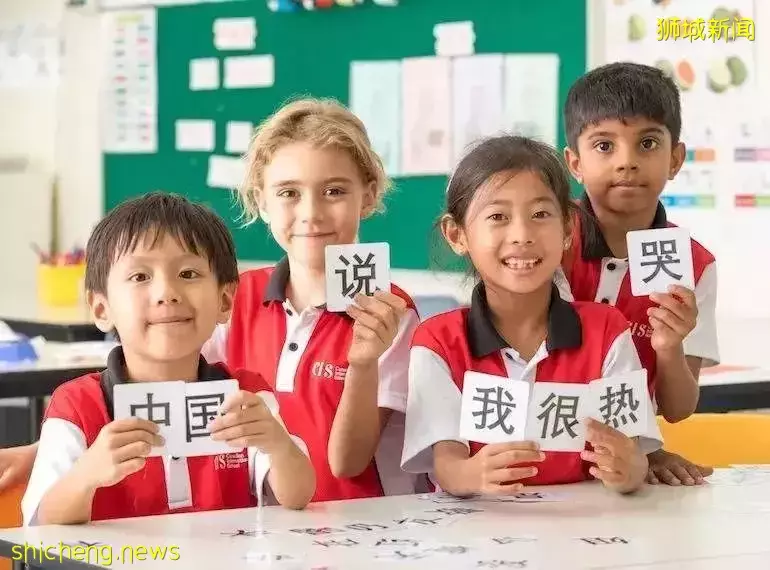 新加坡的幼儿园教育是啥样？外国人收费贵不贵