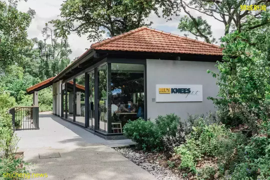 免費！新加坡排名第一的“家庭遊樂場”，竟然有這麽多項目我還沒玩過