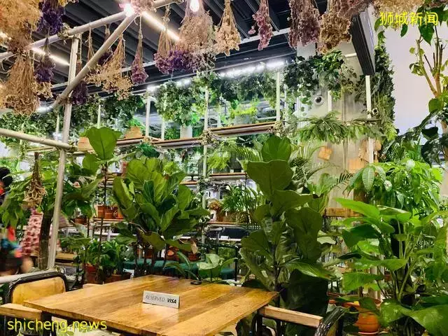 吃遍新加坡 第43期:藝術感十足的小資Café