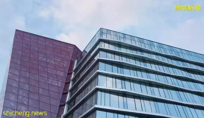 移民新加坡?选择适合您的新加坡移民路径·工作类准证篇