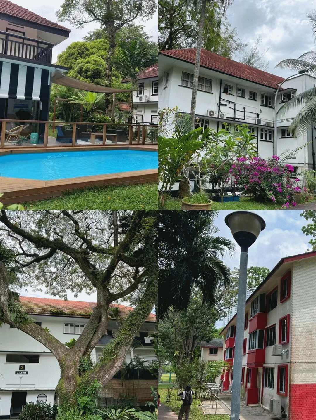 本周日！親子DIY盆栽、打卡越南網紅餐廳、了解新加坡曆史，搶位中