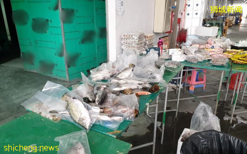 非法储存且未冷藏生鲜食品 网络食品杂货商OurPasar Essentials被罚万元