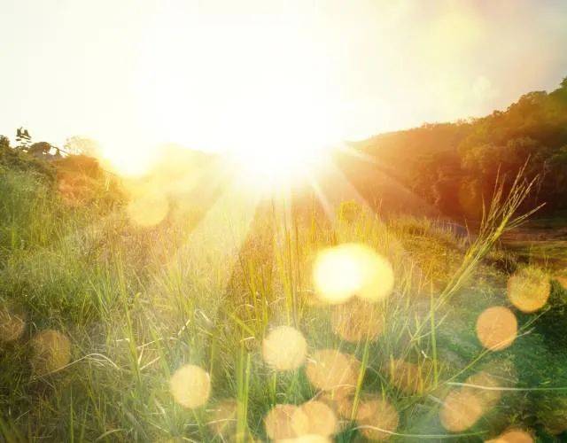 昨早,新加坡全島各處有一股怪味!難道印尼開始燒芭了