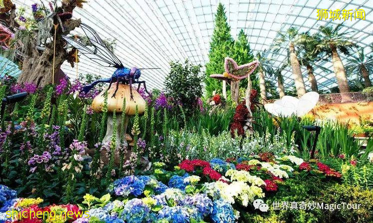 新加坡 帶您走進新加坡濱海灣花園