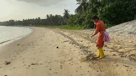 罕見!新加坡聖淘沙這條河變成了粉色,驚現大批死魚!39年創記錄暴雨太作了