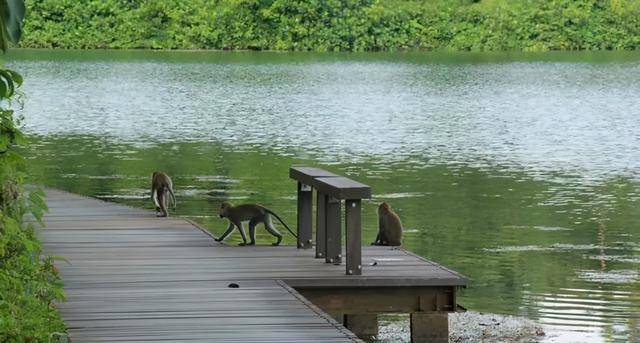 什麽?!新加坡的廢水竟然能喝