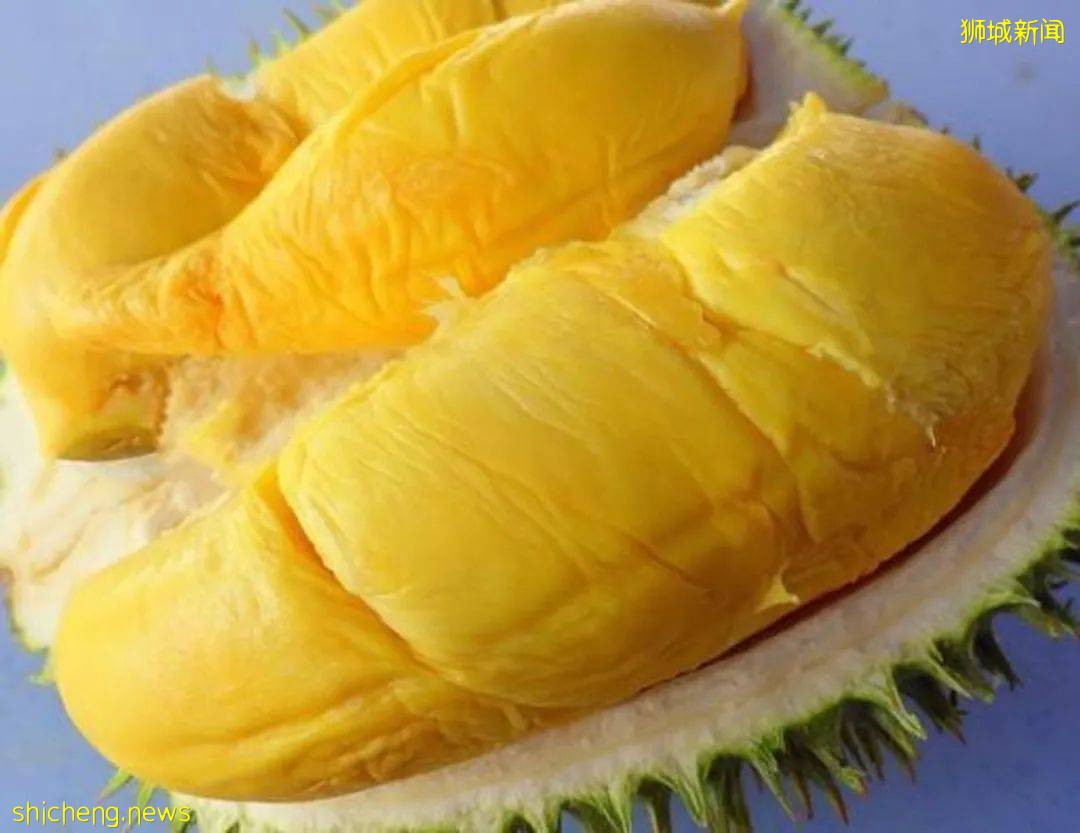 吐血整理！新加坡這20家榴梿太香了！S$11起