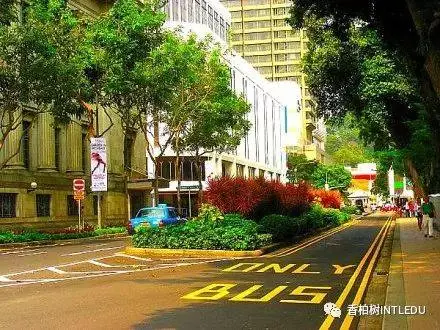 很多父母都想了解的新加坡教育