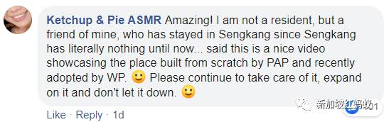 反对党帅哥的盛港导览视频爆红 原来狮城住宅区这么美