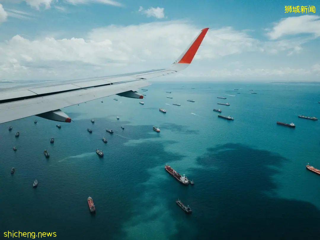 手機“一掃”入境新加坡,一起來看看有4500種花卉的全新熱帶花園吧