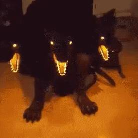 新加坡大哥坐地铁抱加湿器？网友担忧里面有新冠病毒