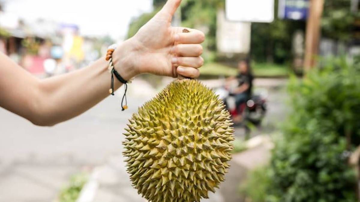 爲什麽榴梿這麽”臭”還這麽多人愛吃