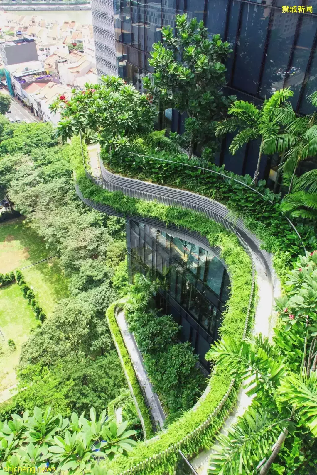 新加坡皮克林賓樂雅花園酒店 / Tierra Design (S) Pte Ltd