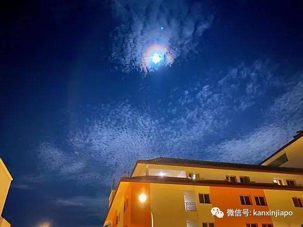 梦幻月晕!新加坡昨晚出现“吸血鬼”月亮