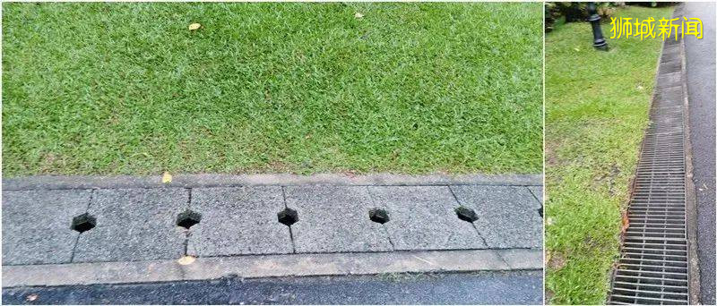 2020年中國南方洪澇嚴重,如新加坡發生洪水,會發生什麽