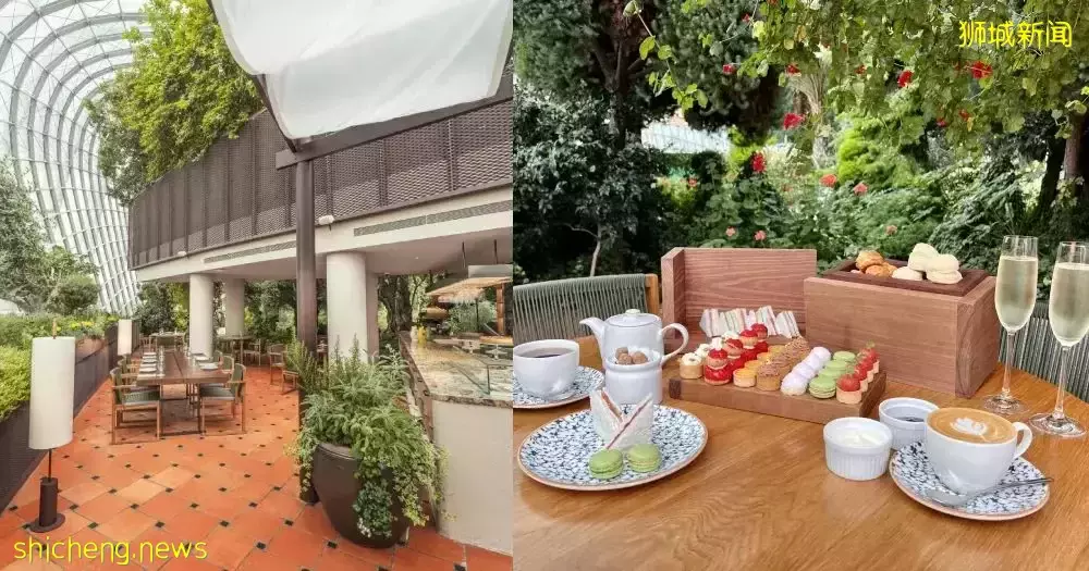 新加坡15间绝美植物主题餐厅,打卡喧嚣闹市里的绿野仙踪