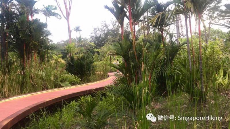 ​1月14号周二夜徒：文礼至裕廊湖花园 Boon Lay to Jurong Lake Gardens