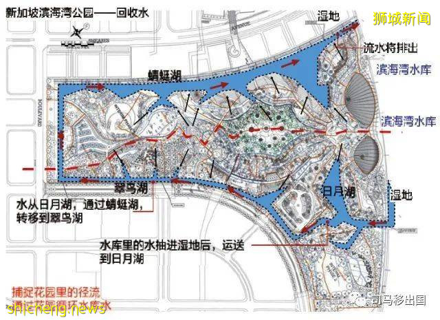 新加坡“花園中的城市”，看看這些巨樹參天的新奇景觀