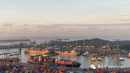 新增X，累计X万 | 新冠疫情严重程度超出之前评估，新加坡经济可能大幅度下跌