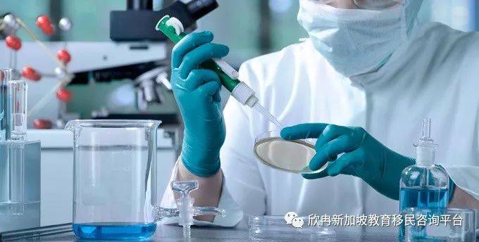 新加坡疫情6連降,抗疫勝利在即