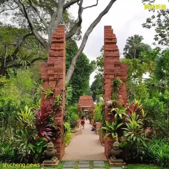 秒出大片!新加坡超火网红打卡景点,一秒穿越到国外