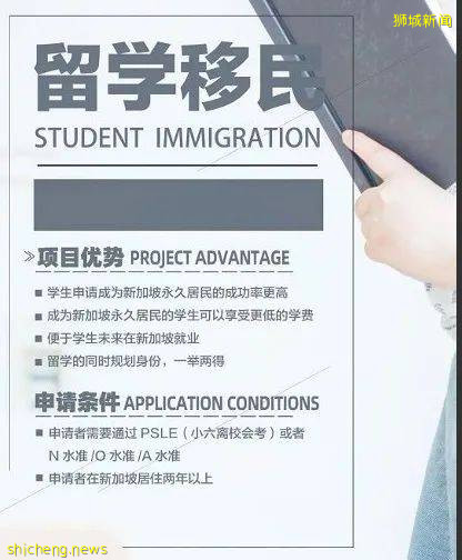 移民新加坡——這些問題需要了解