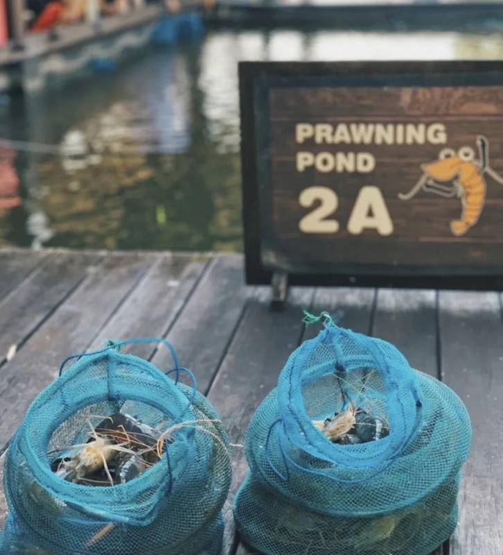 在坡坡的周末不无聊,这些事让你打卡整个夏天