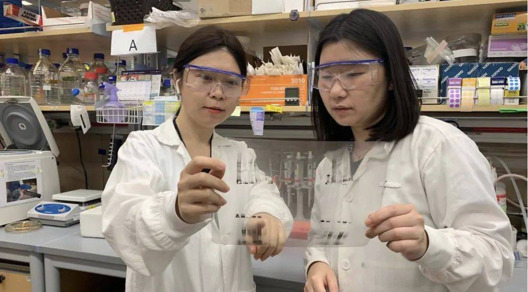 国大学者发现癌症形成新机制,人类离攻克癌症还有多远