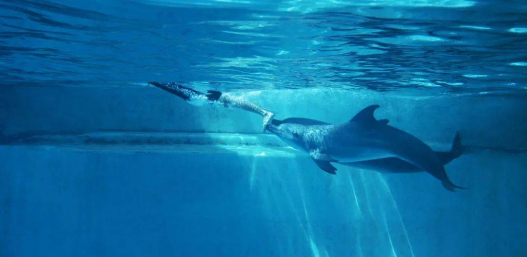 遛娃胜地新加坡!盘点那些让娃流连忘返的主题乐园