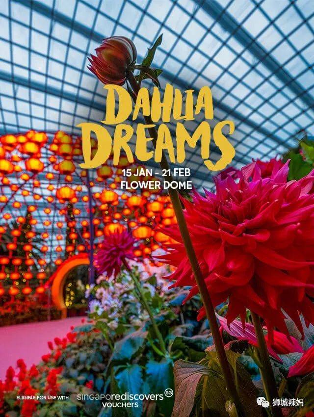 【春節去哪】免費電影票，15部賀歲大片，24小時最美書店，自助餐買1送1，high起來