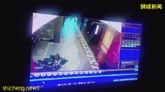 最新进展！弃婴台湾的新加坡籍情侣被捕！网友高呼：送回去