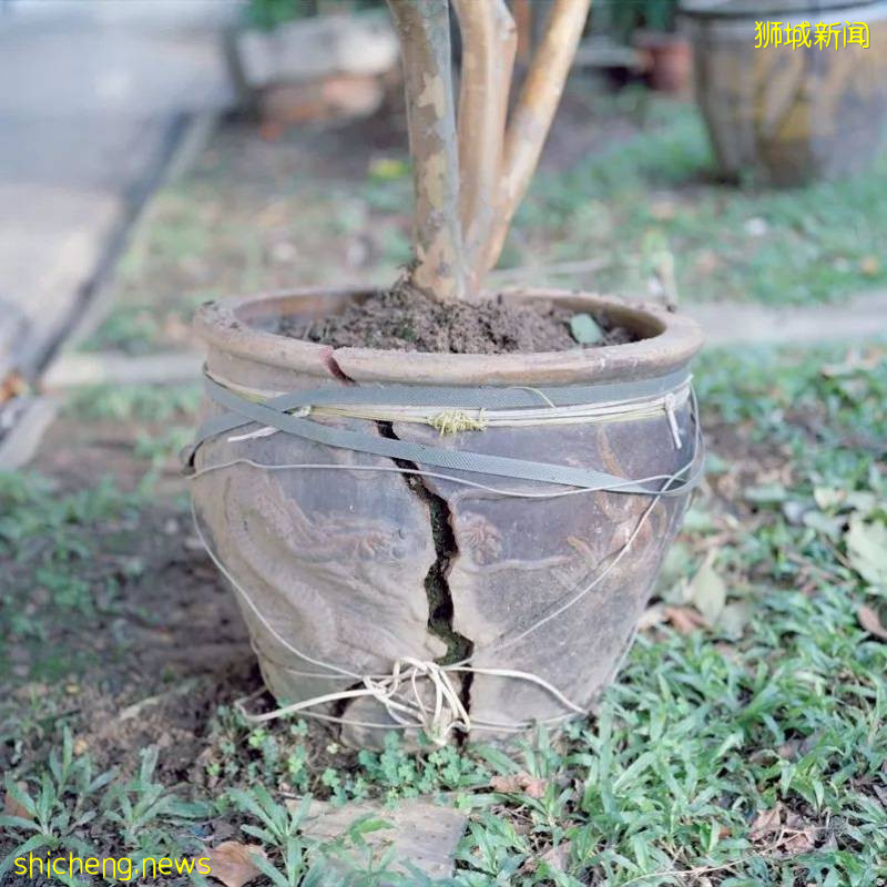 美如畫卷的新加坡，等你來!