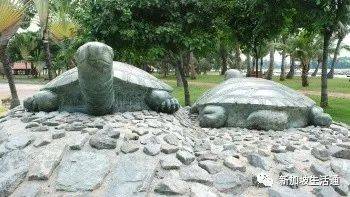 新加坡龟屿岛旅游，不一样的感受