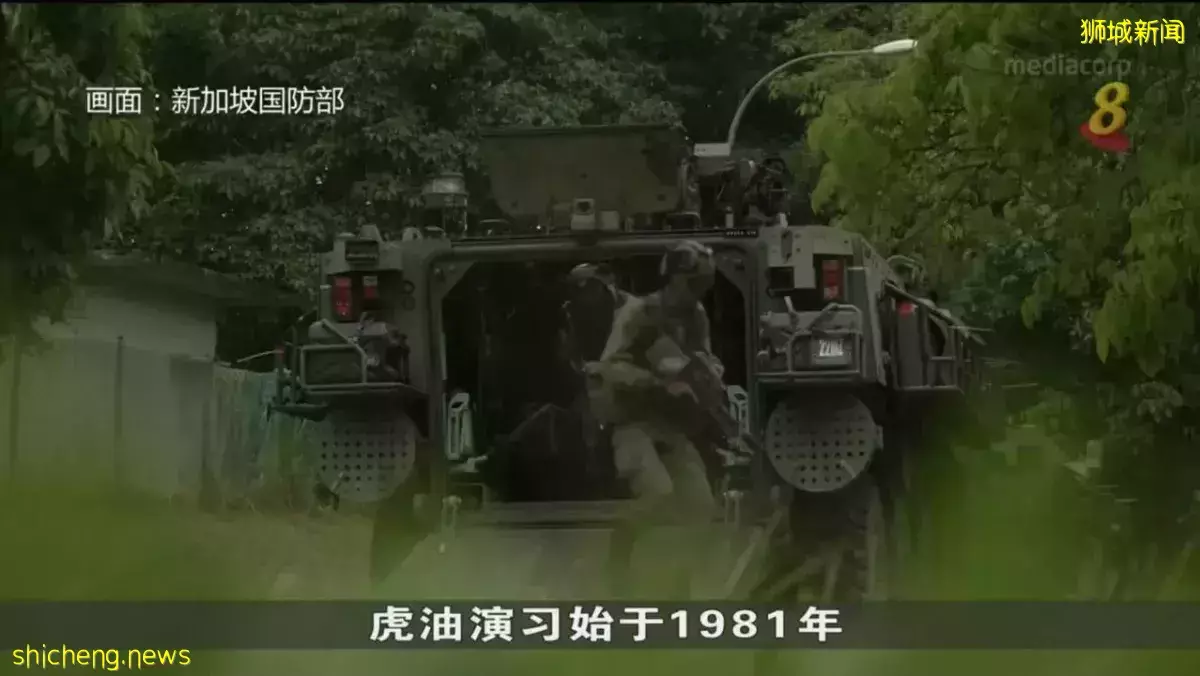 新美军队恢复“虎油”实体演习