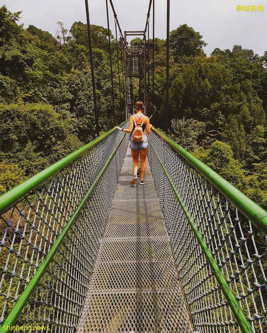 MacRitchie树顶步道按计划将于本月底结束维修,关闭了9个月的树顶步道要回来了