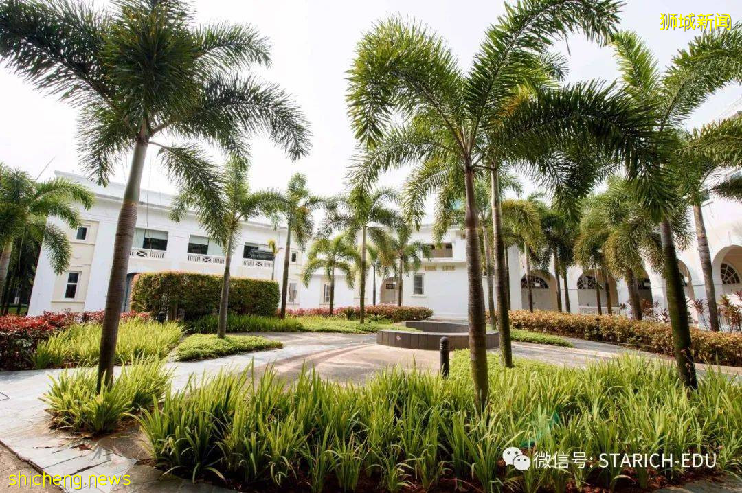 這些藏在新加坡的世界著名大學,可別錯過了!(上)