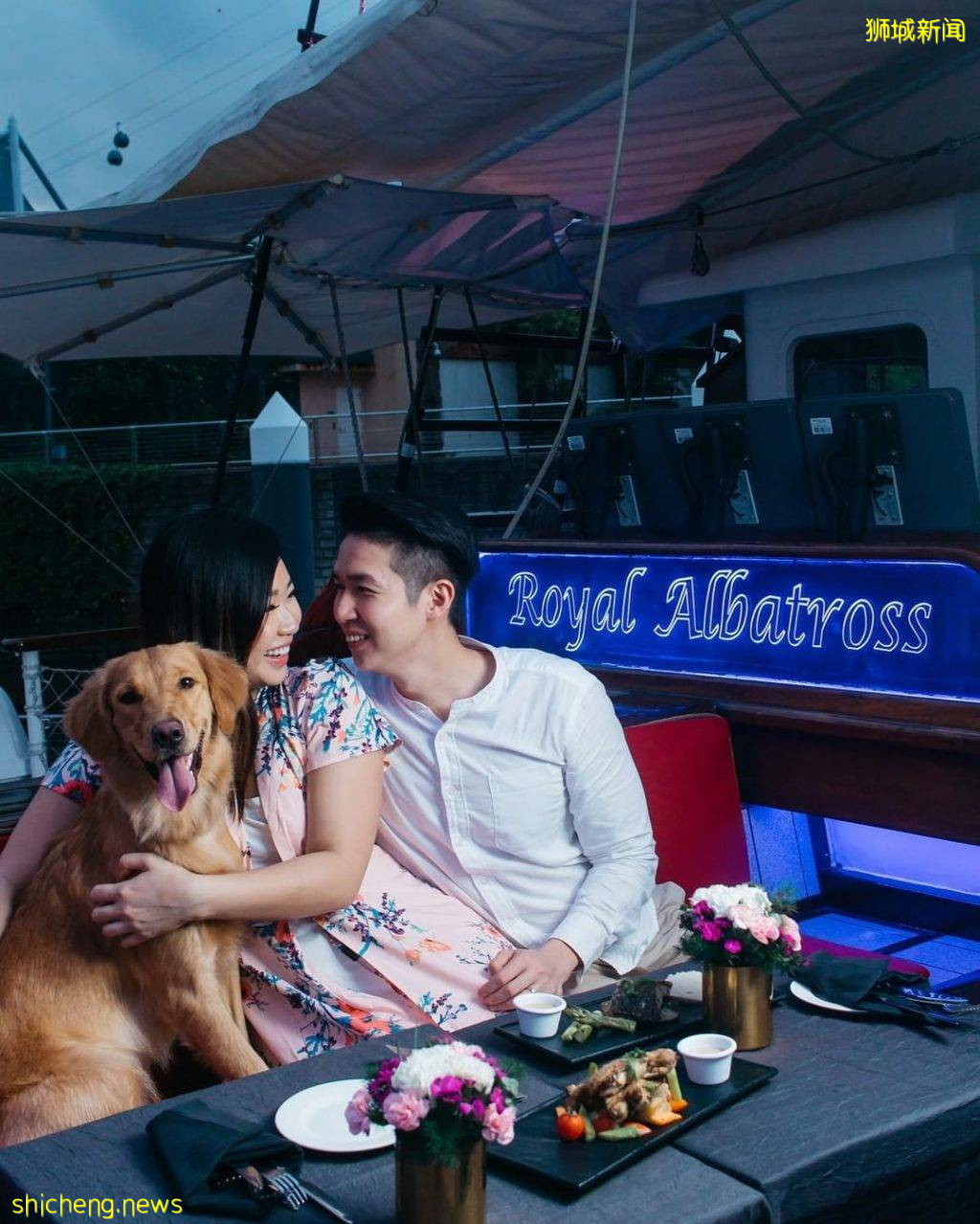 带上宠物去郊游！全亚洲首个“狗狗巡游”就在Royal Albatross⛵️萌宠陪你看日落吃大餐🥰 