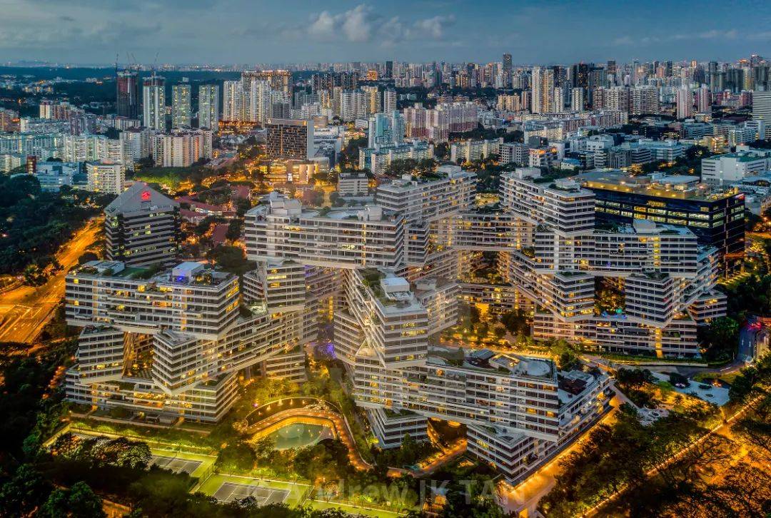 2020年，新加坡發生的11個奇葩小事兒