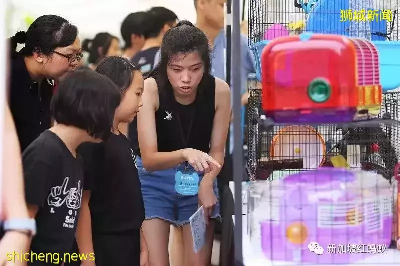 疫情好轉不再寂寞就遺棄喵星人汪星人？　多國出現棄養寵物現象