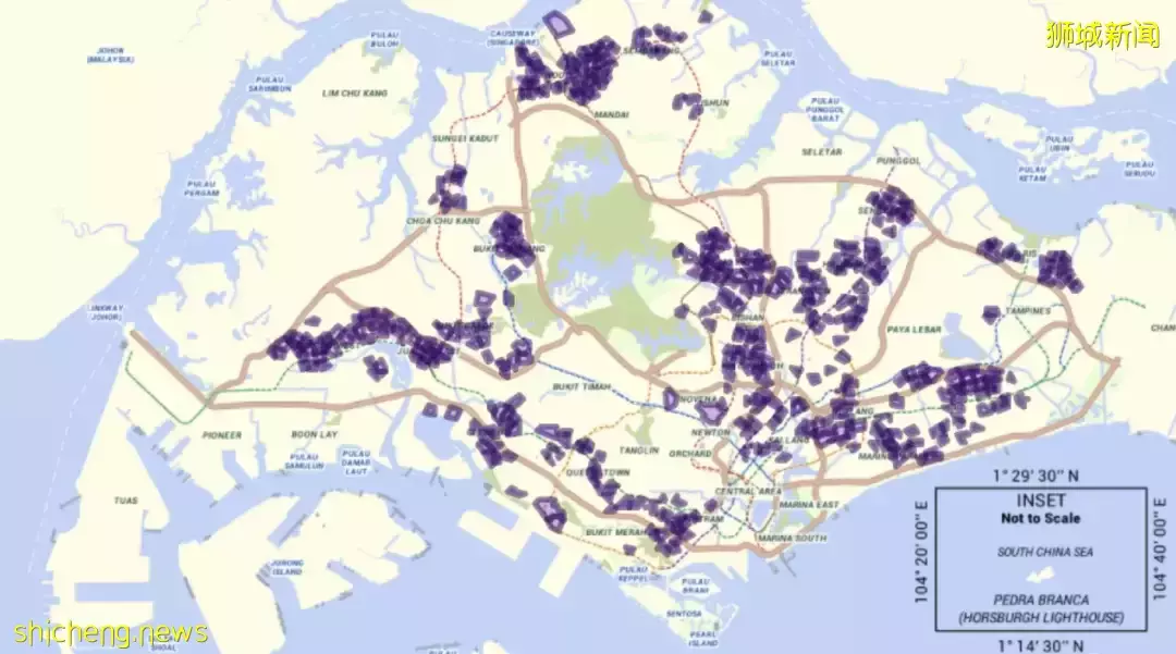 新加坡女部长在欧洲确诊!本地骨痛热病例大增,患者:睡醒满嘴是血